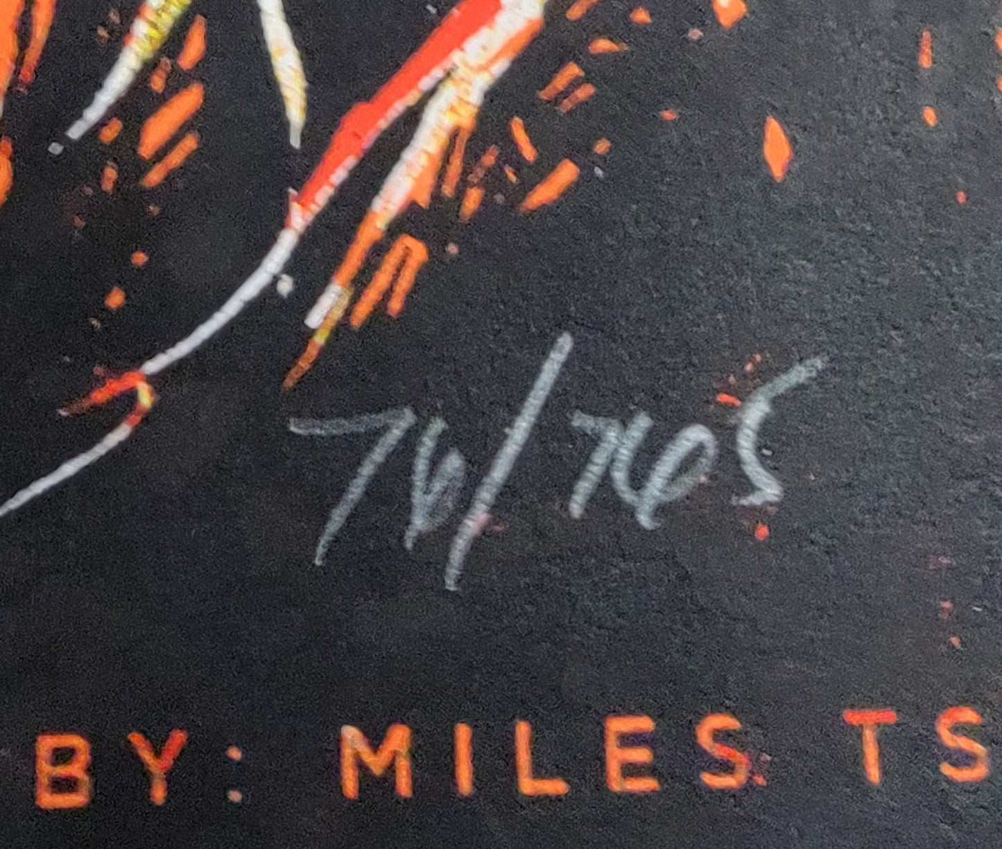 DAVE MATTHEWS / TIM REYNOLDS 2019 CONCERT POSTER Professionally Framed