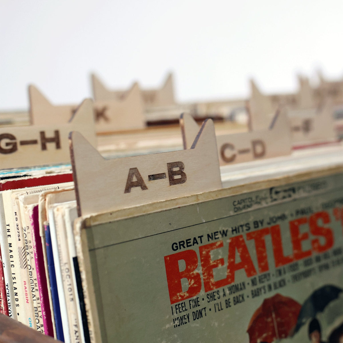 The Vinyl Record Dividers: Baltic Birch A-Z Organizers