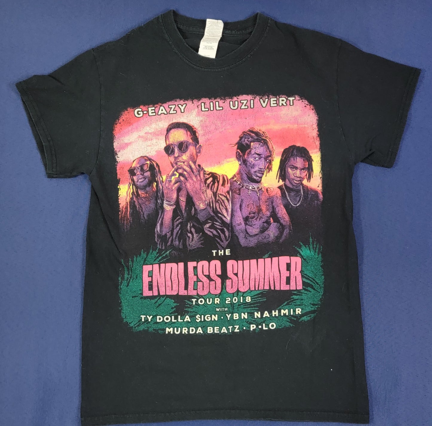 The Endless Summer Tour Concert T-Shirt